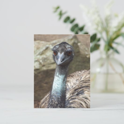 Emu Postkarte (Stehend Vorderseite)