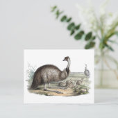 Emu Postkarte (Stehend Vorderseite)