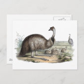 Emu Postkarte (Vorne/Hinten)