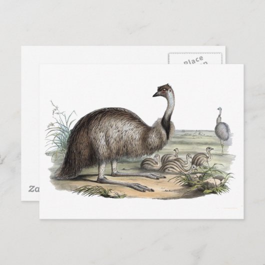 Emu Postkarte (Vorne/Hinten)