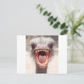 Emu Postkarte (Stehend Vorderseite)
