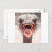 Emu Postkarte (Vorne/Hinten)