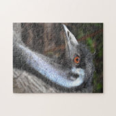 Emu Puzzle (Horizontal)