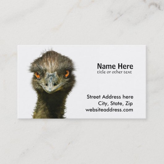 Emu See Visitenkarte (Vorderseite)
