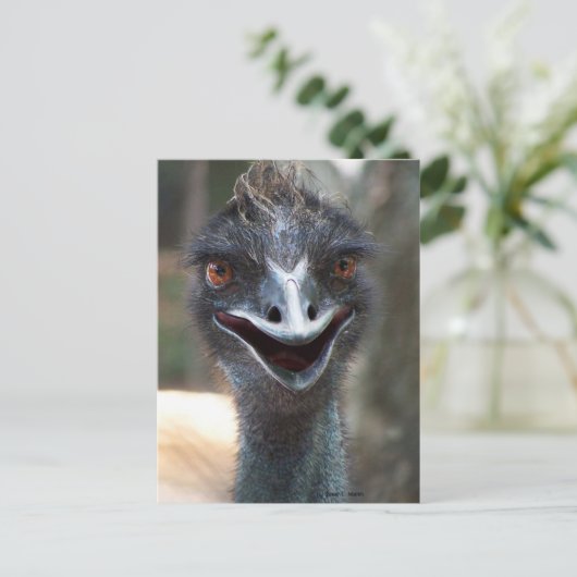 Emu Sprichwort HI! Offener Schnabel große braune A Postkarte (Stehend Vorderseite)