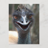 Emu Sprichwort HI! Offener Schnabel große braune A Postkarte (Vorderseite)