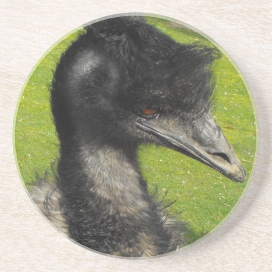 Emu-Untersetzer Sandstein Untersetzer (Vorne)