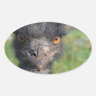 Emu-Vogel-Aufkleber Ovaler Aufkleber