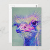 Emu-Vogel Postkarte (Vorne/Hinten)