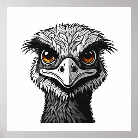 Emu-Vogelkopf Poster (Vorne)