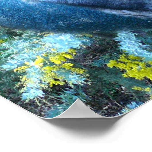 Emu Wildlife Poster (Ecke)