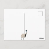 Emus Bird liebt benutzerdefinierte Meldung Postkarte (Rückseite)