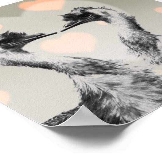 Emus in der Liebe Poster (Ecke)