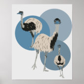 Emus und Blue Circles Moderner Stil Poster (Vorne)