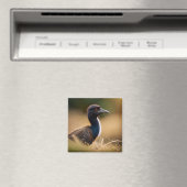 Emus Wildlife: Murawung, Birabayin Ema Large Bird Magnet (In Situ (Geschirrspüler))