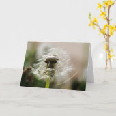 EN003 KARTE (Gelbe Blume)