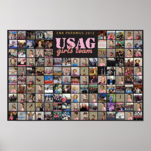 ENA USAG 2013 Poster