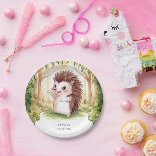 Enchanted Boho Igel Birthday Pappteller (Party)