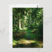 enchanted forest postkarte (Vorne/Hinten)