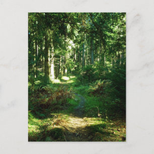 enchanted forest postkarte