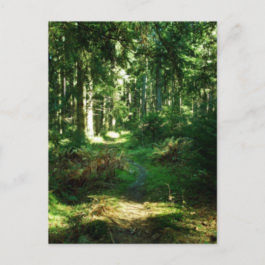 enchanted forest postkarte (Vorderseite)
