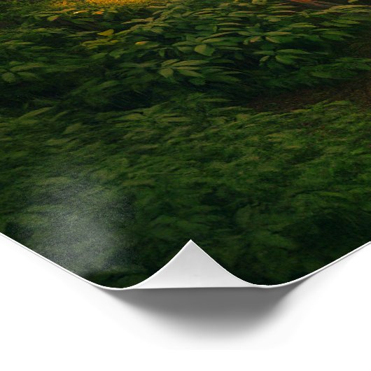 Enchanted Forest Stream Poster (Ecke)