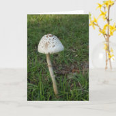 Enchanted Mushroom Notecards (Blank Inside) Karte (Gelbe Blume)