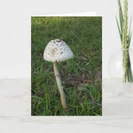 Enchanted Mushroom Notecards (Blank Inside) Karte