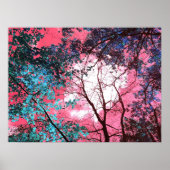 Enchanted   poster (Vorne)