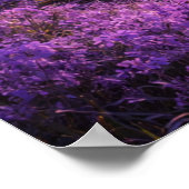 Enchanted River Beneath Purple Sky Poster (Ecke)