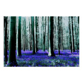 Enchanting Bluebell Forest Poster (Vorderseite)