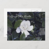 Enchanting Gardenia Save The Date Postcard Ankündigungspostkarte (Vorne/Hinten)