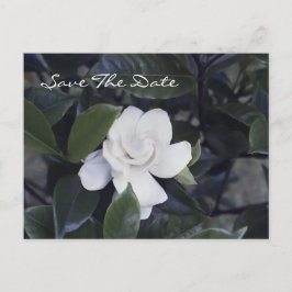 Enchanting Gardenia Save The Date Postcard Ankündigungspostkarte