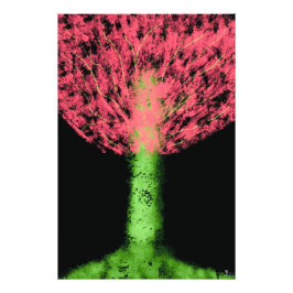 Enchantree Fotodruck