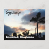 Encinitas California Palm Trees Sunset Postkarte (Vorderseite)