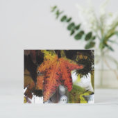 Encino California Postkarte (Stehend Vorderseite)