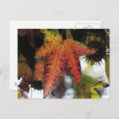 Encino California Postkarte (Vorne/Hinten)