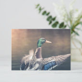 Enck Nature Foto Card (Stehend Vorderseite)