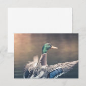 Enck Nature Foto Card (Vorne/Hinten)