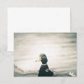 Enck Nature Foto Card (Vorne/Hinten)