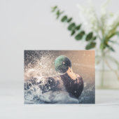 Enck Nature Foto Postkarte (Stehend Vorderseite)