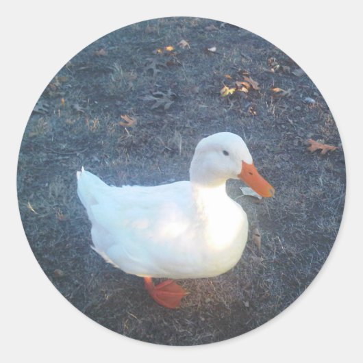 Enck Stickers (Vorderseite)