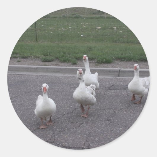 Enck Stickers (Vorderseite)