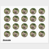 Enck Stickers (Blatt)