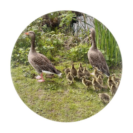 Enck's Leben.. Schneidebrett (Vorderseite)