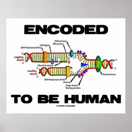 Encoded to be human (DNA-Replikation) Poster