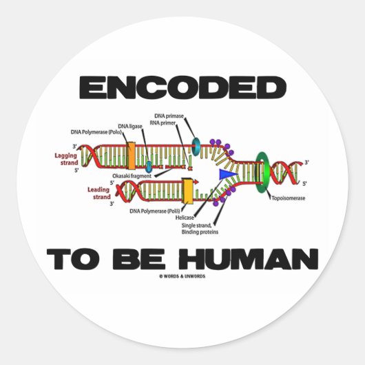 Encoded to be human (DNA-Replikation) Runder Aufkleber (Vorderseite)