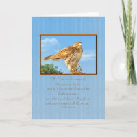 Encouragement, Rough-legged Hawk