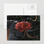 Endanflug Postkarte (Vorne/Hinten)