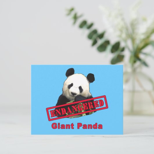 ENDANGERED Giant Panda Postkarte (Stehend Vorderseite)